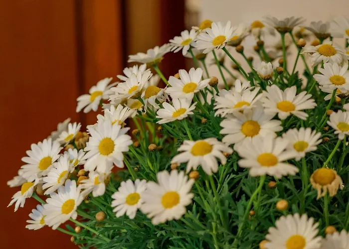 Guest house Da Caran With Ac